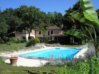 Superb Town House, Garden, Pool Auch -..