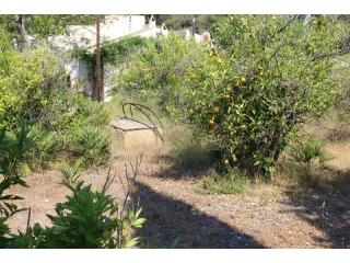 Plot in Javea