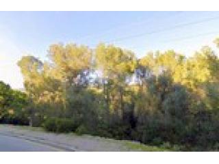 - Land - For Sale