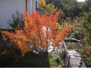 Matulji, samostojeća kuća