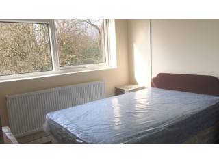 FULLY REFURBISHED DOUBLE ROOM TO LET -..