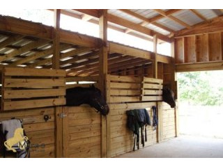 McAlpin: horseranch, equestrian..