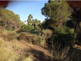 Land - Malaga - For Sale