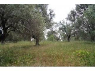 Property For Sale Crete Rethymnon