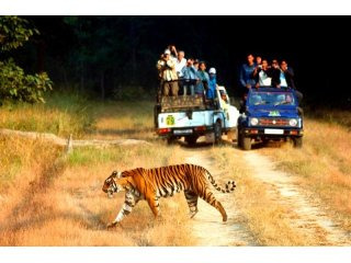Jim Corbett Weekend Packages