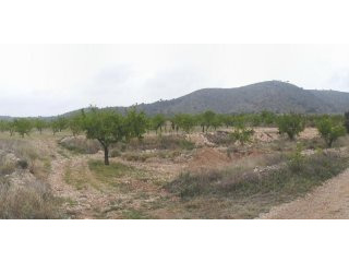Land For Sale In La Romana