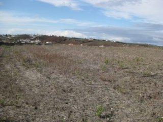 Land , Torres Vedras