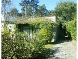 4 Bedroom House - For Rent -..
