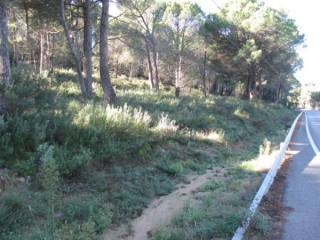 RUSTIC LAND IN BEGUR