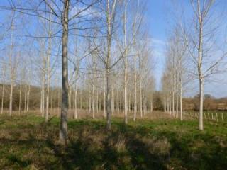 4 Ha's Of Leisure Land Bordering The..