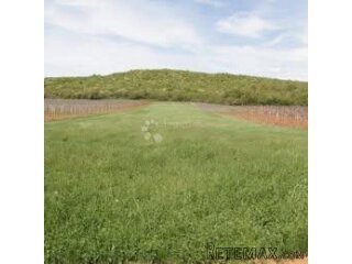 Flengi, Vrsar - poljoprivredno zemljište 8440m2