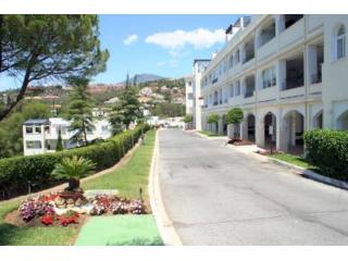 Fully Renovated 3 Bedroom Apartment in..