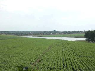 Land in Dobrich