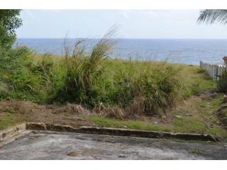 Property For Sale: Green Point Cliff..