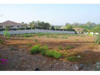Large Corner plot in Guadalmina..