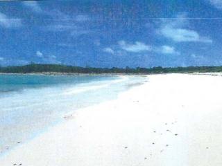 Singlefamilyvacant - 134.94 acres in..