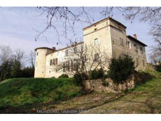 6 bedroom Castle For Sale: 81000 TARN