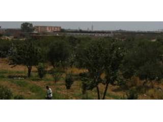 A farm for rent