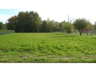 Site