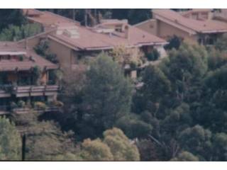 CAMILLUCCIA, SURROUNDED BY GREENERY