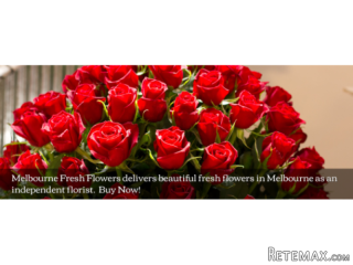 Look For Best Flowers Delivery Service