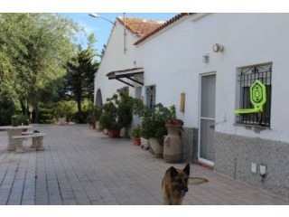 Elche, Alicante- 5 Bed Country House..