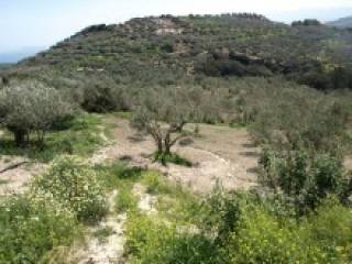 West Crete Land