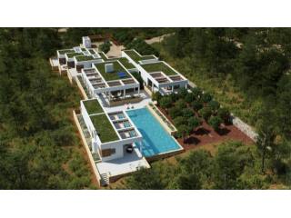 Superb Plot With License In An..