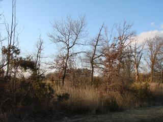 Vente Terrain St Paul La Roche