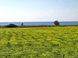 Beachfront Development Land In..