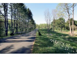 Land For Sale: 11 Pinefield Lane