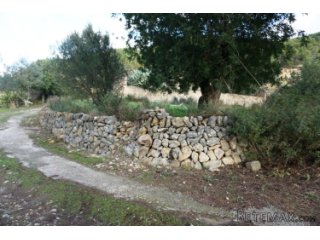 A rare gem of a large plot available for sale in an idyllic..