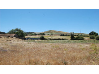Real estate land