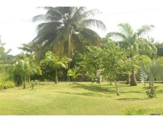 Property For Sale: Waterhall, Lot 38..