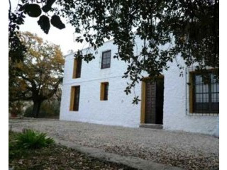 Country Home*