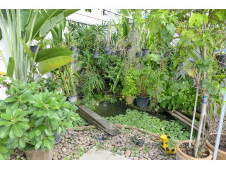 Modern 5 bedroom house with large pool..