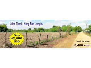 Land for sale - Nong Bua Lamphu - Kut..