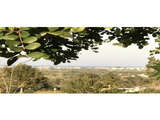 - Land - Alicante - For Sale