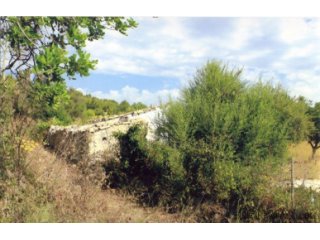 Piece of land 4,700 m2 in Alcudia (near to Can Segué)...