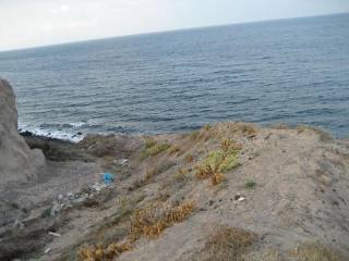 Waterfront Land Plot