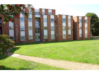 1 bed flat to rent