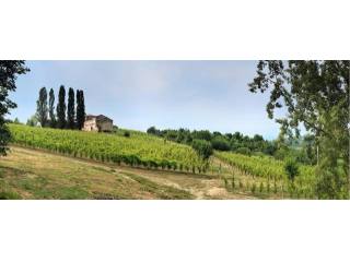 Property For Sale: Via dei Colli..