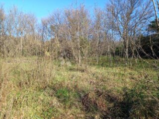 Kostrena, teren s pogledom na more