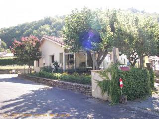 Villa With Pool (7000m2) St Pons De..