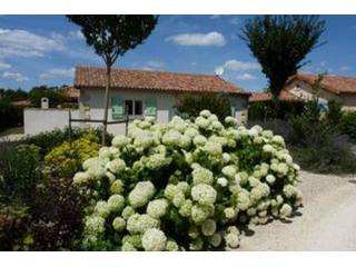 Menigoute (79)/ Reduced price. Great..