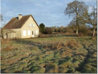Detached House in Quiet Location