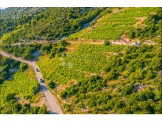 Investicijska prilika - OPG u rajskim vinogradima