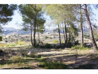 Panoramic views over the hills of..