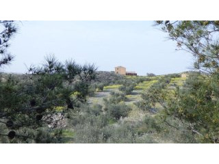 2 Bedrooms - Terraced - Murcia - For..