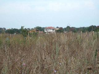 Land for sale in Krapets, Shabla
